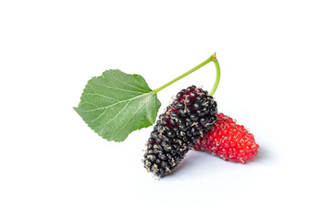 Mulberry fruit with green leaf isolated on white background