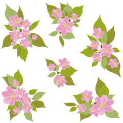 Several variants of cherry wreaths with leaves. Wreaths of pink flowers