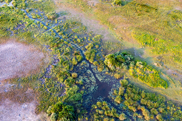 Aerial view to wild nature of Delta Okavango in Botswana.