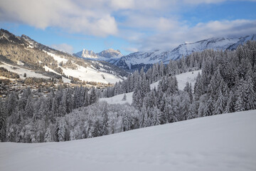 Sörenberg (Skigebiet in Flühli)