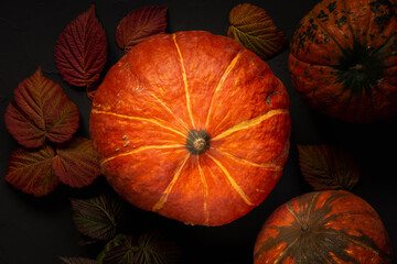 Autumn still life with three orange pumpkins and autumn foliage on a black background top view flatlay