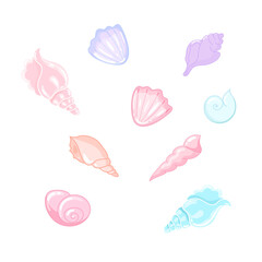 Seashells vector illustrations. Colorful cartoon shelll