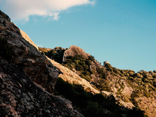 Landscape in the natural park of cork oaks beside the river Hozgarganta in Jimena, Andalusia, Spain