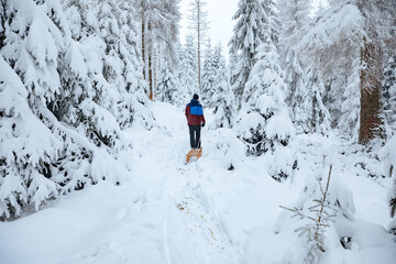 Man in ski suit pulls a sledge through a forest with a lot of snow. Forest in winter