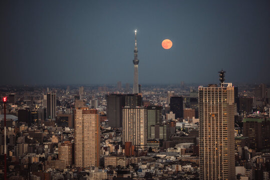 月と東京
