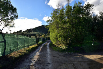 Esplorando intorno a casa