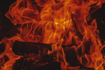 Fototapeta premium A look in the fireplace