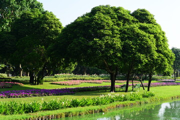 Fototapeta na wymiar Spring Formal Garden. Beautiful garden of colorful flowers.Landscaped Formal Garden. Park. Beautiful Garden 