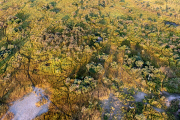 Aerial view to wild nature of Delta Okavango in Botswana.