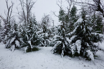 The storm Filomena leaves a historical snowfall in the streets of the Las Águilas neighborhood in Madrid. Spain