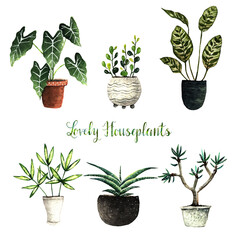 Watercolor illustration, lovely houseplants, postcard for you, handmade, set, white background
