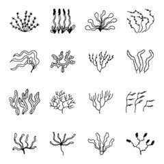 algae vector plants sketch set