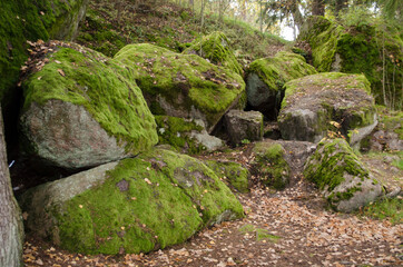 Large stones in the forest covered with moss