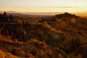 landscape with hills and forest