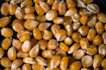 Maiskörner in der Nahaufnahme