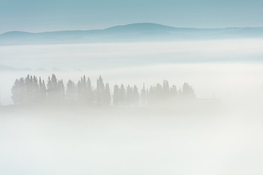 landscape with fog and trees in Tuscany, Italy in autumn © Alliance