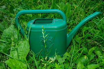 Green watering can in the grass. Photo of garden tools in the garden