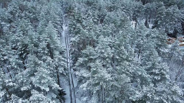 winter forest a lot of snow frosty day drone view january 2021