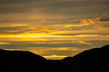 Forest silhouette on the background of sunset in the carpathians