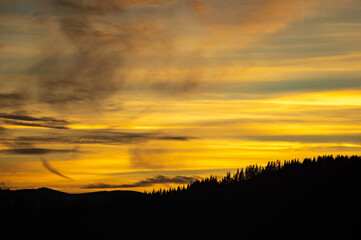 Forest silhouette on the background of sunset in the carpathians