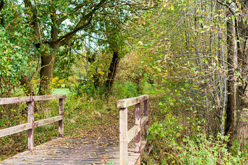 Brücke in der Natur
