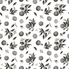 Monochrome seamless pattern with vintage black white citrus fruits, blossom, leaves white background