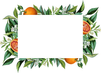 Polygonal frame with vintage orange citrus fruits, blossom, green leaves