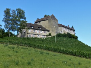 Schloss Schwandegg mit Weinbergen in Waltalingen / Schweiz