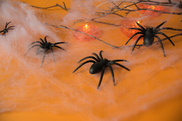 Hallowen decoration for party. Spider und web.