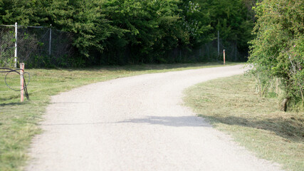 Obraz premium Empty bike path with no people or vehicles. Summer landscape.