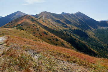 View on route to Starorobocianski Wierch summit