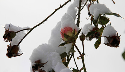winter impressions around the egge tower at the velmerstot near silver river valley