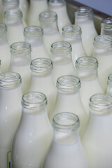 Fototapeta na wymiar fresh milk, Sa Teulera farm, Petra, Mallorca, Balearic Islands, Spain