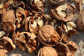 Cracked walnuts spread on a stone table