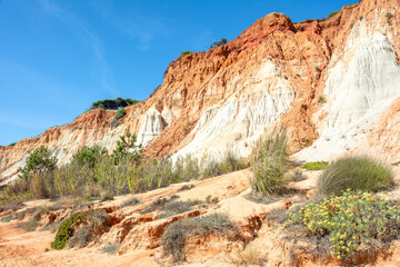 Rote Sandsteinfelsen mit Pinien in algarve