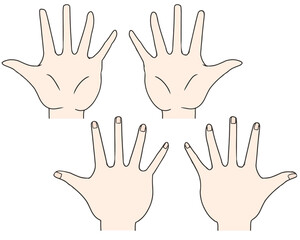 Fototapeta premium 手 白 バリエーション