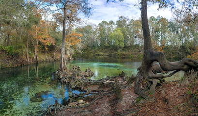 The Confluence of the Spring Run and the Withlacoochee River at Madison Blue Springs State Park,...