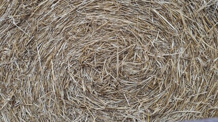 background of straw