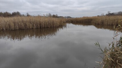 reflection in the water