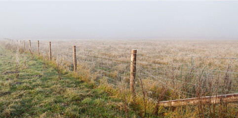 Obraz premium a run of wooden fence posts with barbed wire angle of in to the distance on a foggy morning 