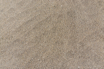 cement wall texture. background with texture