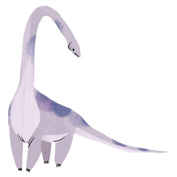 Dinosaur diplodocus brachiosaurus