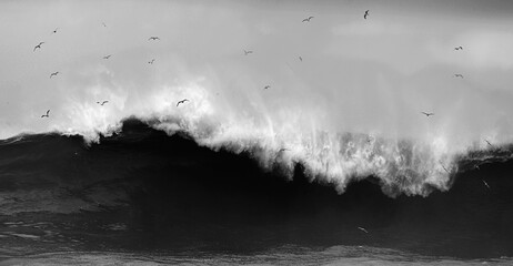 Ola gigante en mareas vivas en San Sebastián con gaviotas.