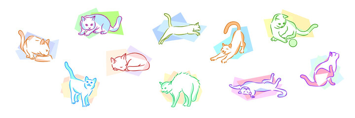 Cats Life Illustrations Version 1