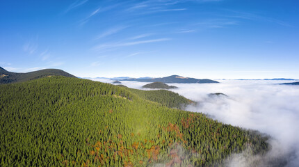 Beautiful landscape of Carpathian mountains covered with green forest.