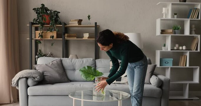 Woman get her living room in order, puts vase on coffee table, fix cushion on couch and neatly folding knitted plaid, cleans up flat, finish chores sit on sofa relaxing enjoy tidiness and free time