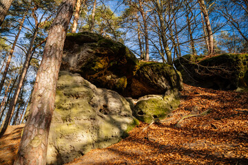 Msenske Poklicky unique sandstone table rock formation, Kokorin Protected landscape Area, forest in sunny day, blue footpath Drouzkovska cesta, hiking in Kokorinsko, Czech Republic