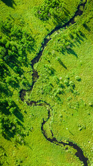 Top down view of river and green swamps in summer