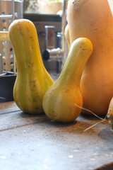 Homegrown fruit and vegetables sitting on the counter top