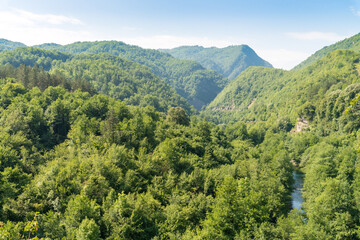 Fototapeta na wymiar Tara river bank, canyon and mountains covered with green forest